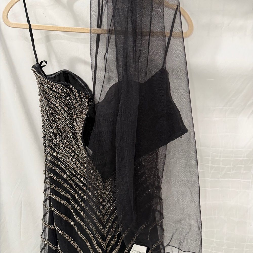 Pronovias Black Strapless Dress with Silver - Atos style 48- Beading size 4 - Picture 13 of 15